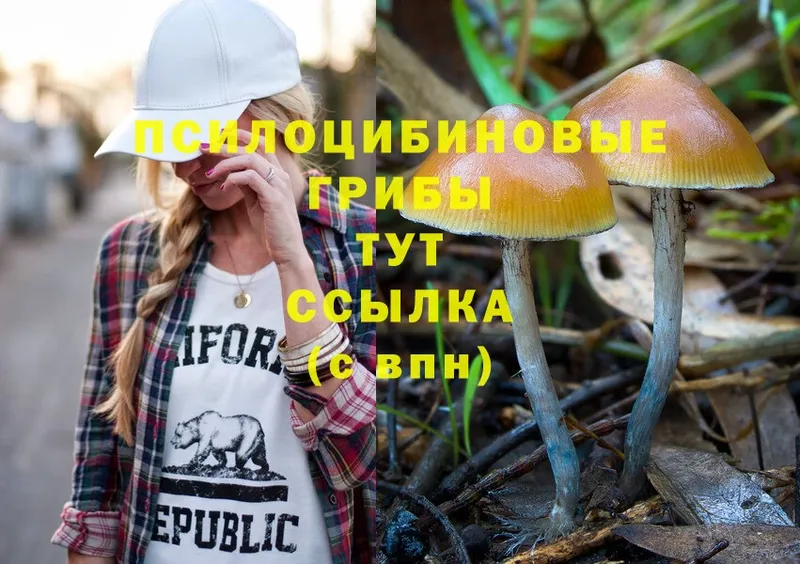 Псилоцибиновые грибы Psilocybine cubensis  mega зеркало  Зуевка 